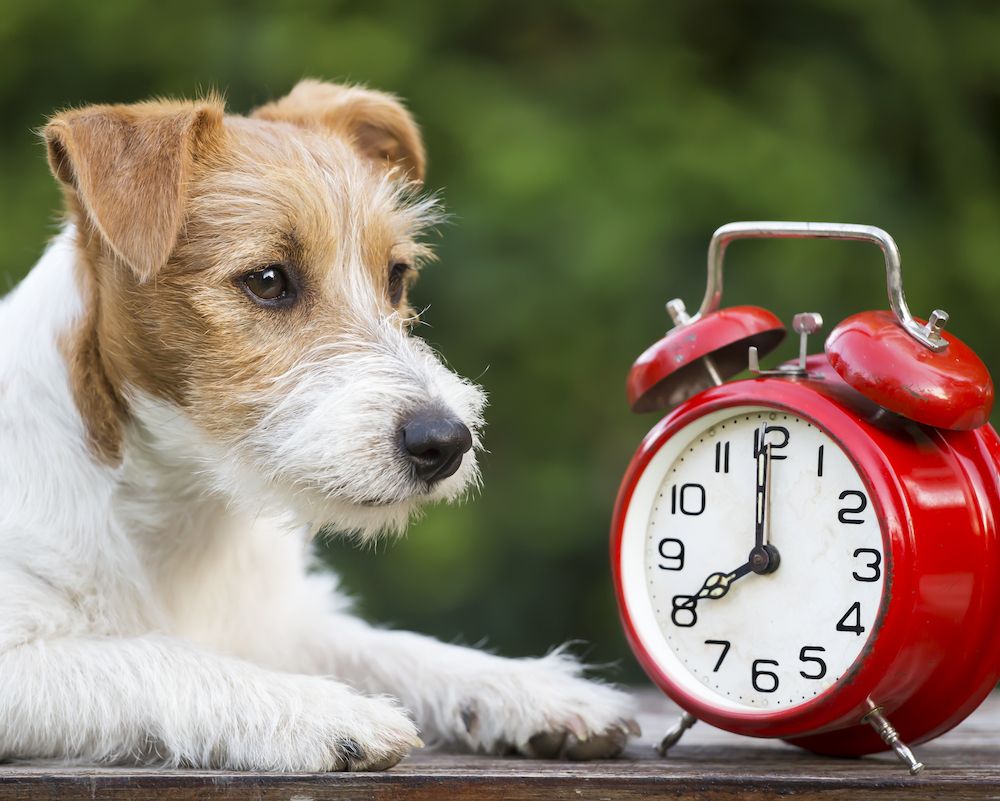 Question of the Week